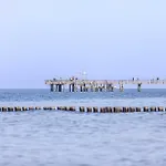 Boddendomizil - Ihr Rückzugsort Mit Blick Auf Den Bodden * Wustrow (Fischland)